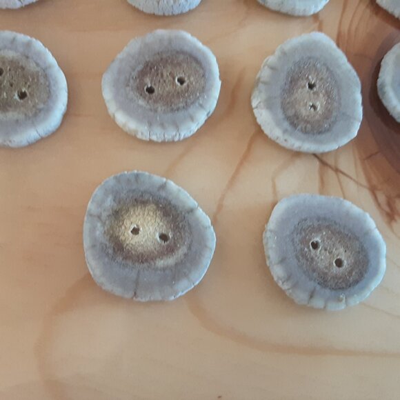 Set Of 10 Handcrafted Authentic Mule Deer Antler Buttons - Picture 2 of 3